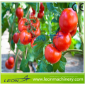 Serre à tomates personnalisée série Leon